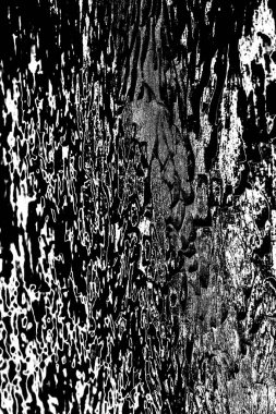 Soyut grunge arkaplanı. Monokrom dokusu. Siyah ve beyaz desenli arkaplan