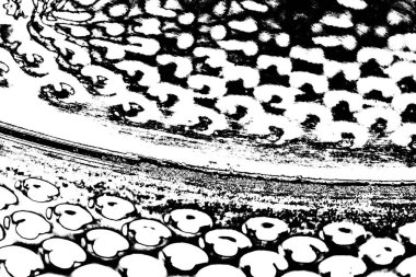 Soyut arkaplan. monokrom dokusu. resim siyah ve beyaz tonları içerir.