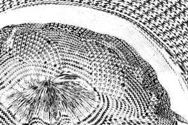 Soyut siyah-beyaz grunge arka planı. monokrom dokusu.