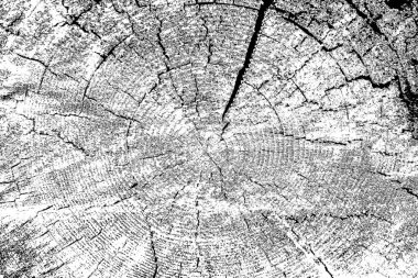 Soyut arkaplan. monokrom dokusu. resim siyah ve beyaz tonları içerir.