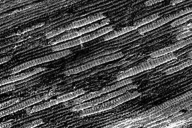 Soyut grunge arkaplanı. Monokrom dokusu. Siyah ve beyaz desenli arkaplan