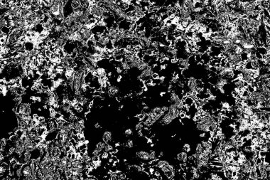 Soyut grunge arkaplanı. Monokrom dokusu. Siyah ve beyaz desenli arkaplan