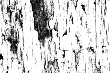 Soyut siyah-beyaz grunge arka planı. monokrom dokusu.