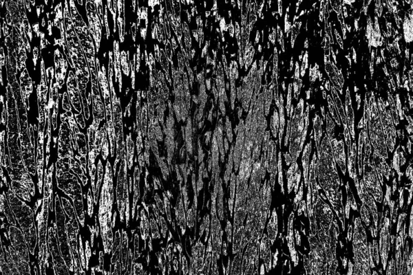 Fundo Grunge Abstrato Textura Monocromática Preto Branco Texturizado Fundo — Fotografia de Stock