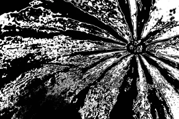 Fondo Grunge Abstracto Textura Monocromática Fondo Texturizado Blanco Negro —  Fotos de Stock