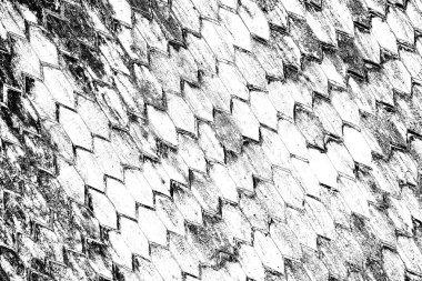 Soyut siyah-beyaz grunge arka planı. monokrom dokusu.