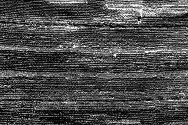 Soyut grunge arkaplanı. Monokrom dokusu. Siyah ve beyaz desenli arkaplan