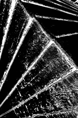 Soyut grunge arkaplanı. Monokrom dokusu. Siyah ve beyaz desenli arkaplan