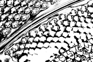 Soyut arkaplan. monokrom dokusu. resim siyah ve beyaz tonları içerir.