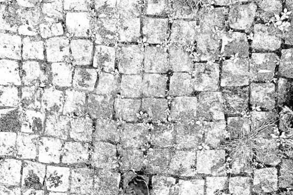 Résumé Fond Grunge Texture Monochrome Fond Texturé Noir Blanc — Photo