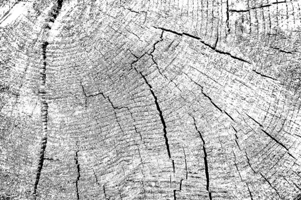 Soyut arkaplan. monokrom dokusu. resim siyah ve beyaz tonları içerir.
