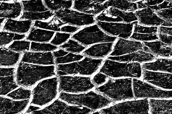 Sfondo Astratto Grunge Struttura Monocromatica Bianco Nero Sfondo Strutturato — Foto Stock