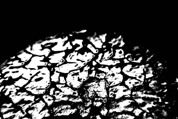 Abstract Black White Grunge Background Monochrome Texture — Stock Photo, Image