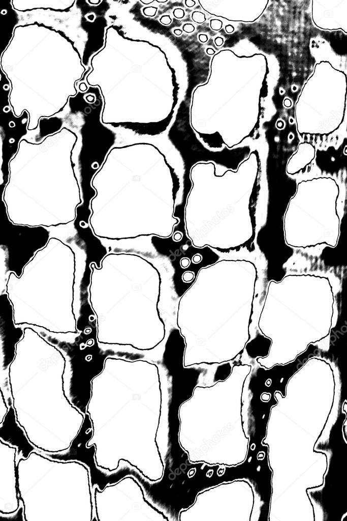 Abstract black and white grunge background. Monochrome texture.