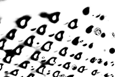 Soyut grunge arkaplanı. Monokrom dokusu. Siyah ve beyaz desenli arkaplan