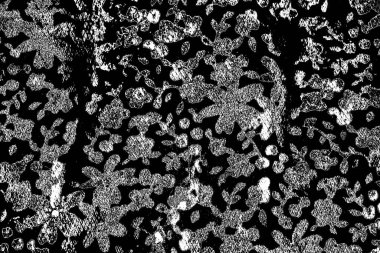 Soyut siyah-beyaz grunge arka planı. monokrom dokusu.