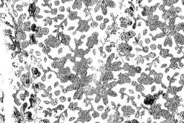 Soyut grunge arkaplanı. Monokrom dokusu. Siyah ve beyaz desenli arkaplan
