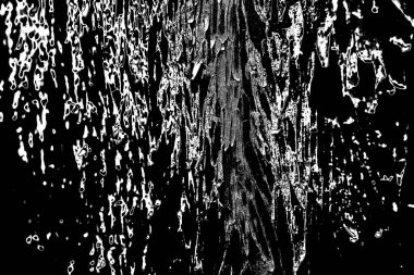 Soyut grunge arkaplanı. Monokrom dokusu. Siyah ve beyaz desenli arkaplan