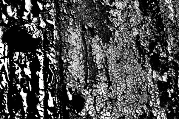 Abstracte Grunge Achtergrond Monochrome Textuur Zwart Wit Textuur Achtergrond — Stockfoto