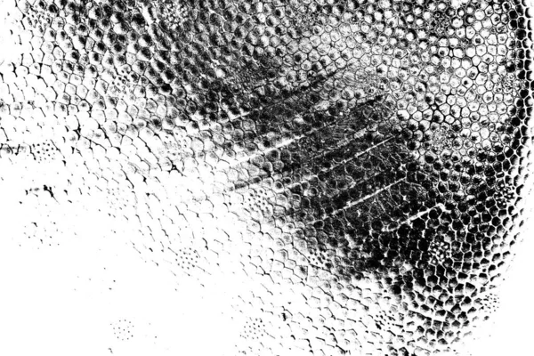 Résumé Fond Grunge Texture Monochrome Fond Texturé Noir Blanc — Photo