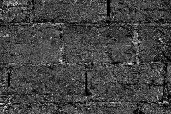 Abstract Grunge Background Monochrome Texture Black White Textured Background — Stock Photo, Image