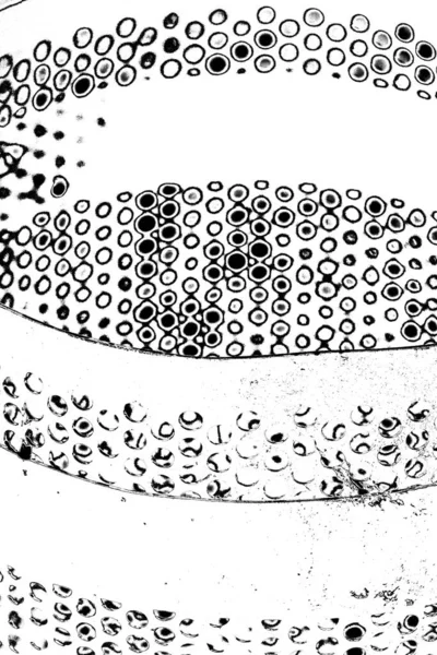 Абстрактный Гранж Фон Монохромная Текстура Черно Белый Текстурированный Фон — стоковое фото