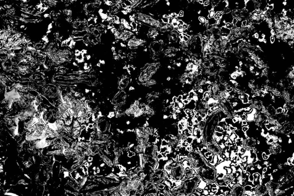 Fondo Grunge Abstracto Blanco Negro Textura Monocromática — Foto de Stock