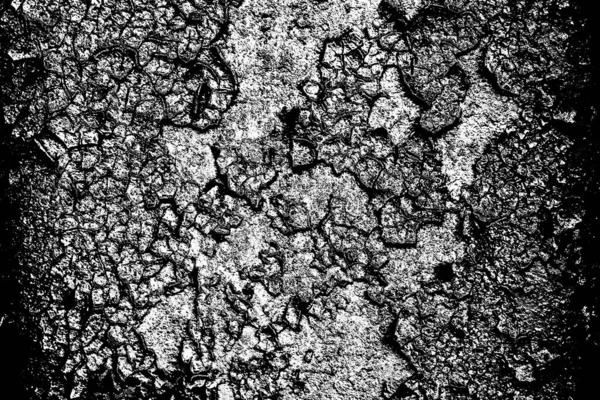 Abstrait Fond Grunge Noir Blanc Texture Monochrome — Photo