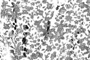 Soyut grunge arkaplanı. Monokrom dokusu. Siyah ve beyaz desenli arkaplan
