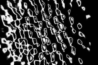 Soyut grunge arkaplanı. Monokrom dokusu. Siyah ve beyaz desenli arkaplan