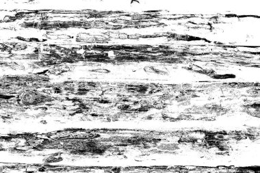 Soyut grunge arkaplanı. Monokrom dokusu. Siyah ve beyaz desenli arkaplan