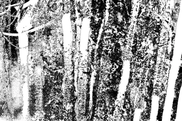 Fondo Grunge Abstracto Textura Monocromática Fondo Texturizado Blanco Negro — Foto de Stock