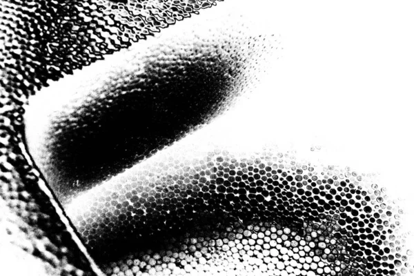 Fondo Grunge Abstracto Textura Monocromática Fondo Texturizado Blanco Negro —  Fotos de Stock