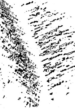 Soyut grunge arkaplanı. Monokrom dokusu. Siyah ve beyaz desenli arkaplan