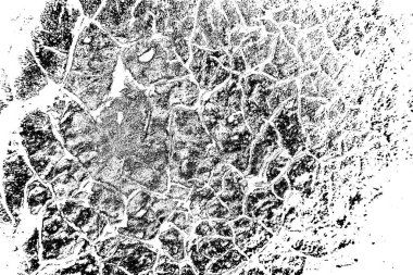 Soyut grunge arkaplanı. Monokrom dokusu. Siyah ve beyaz desenli arkaplan