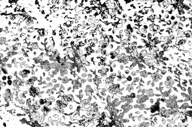 Soyut grunge arkaplanı. Monokrom dokusu. Siyah ve beyaz desenli arkaplan