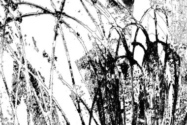 Soyut grunge arkaplanı. Monokrom dokusu. Siyah ve beyaz desenli arkaplan