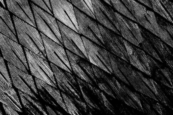 Sfondo Astratto Grunge Struttura Monocromatica Bianco Nero Sfondo Strutturato — Foto Stock