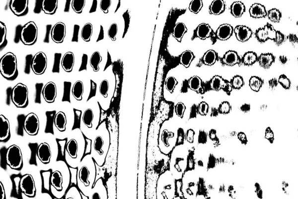 Абстрактний Гранжевий Фон Монохромна Текстура Чорно Білий Текстурований Фон — стокове фото