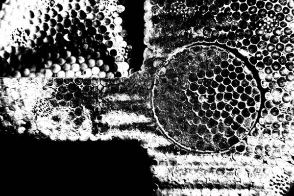 Fondo Grunge Abstracto Textura Monocromática Fondo Texturizado Blanco Negro —  Fotos de Stock