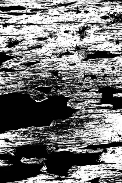 Abstract Black White Grunge Background Monochrome Texture — Stock Photo, Image