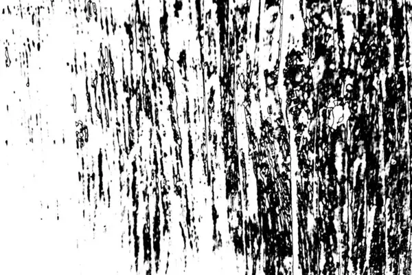 Fondo Grunge Abstracto Textura Monocromática Fondo Texturizado Blanco Negro — Foto de Stock