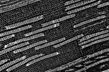 Soyut arkaplan. monokrom dokusu. resim siyah ve beyaz tonları içerir.