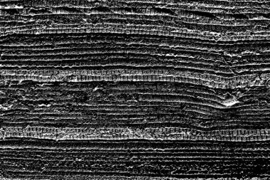 Soyut siyah-beyaz grunge arka planı. monokrom dokusu.