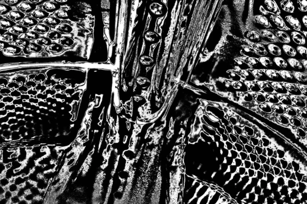 Fond Abstrait Texture Monochrome Image Incluant Effet Les Tons Noir — Photo