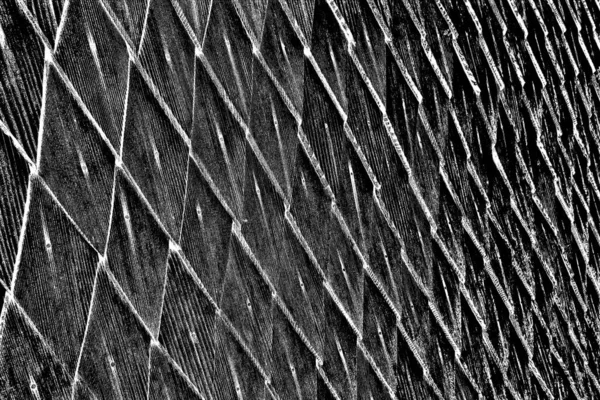 Sfondo Astratto Texture Monocromatica Immagine Compreso Effetto Toni Bianco Nero — Foto Stock