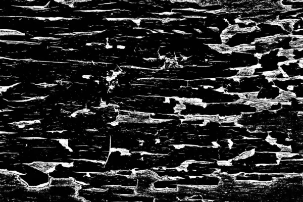 Abstract Black White Grunge Background Monochrome Texture — Stock Photo, Image