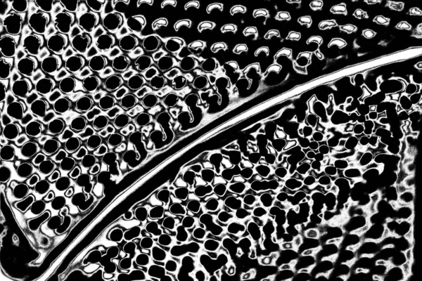 Abstract Background Monochrome Texture Image Including Effect Black White Tones — Stock Photo, Image