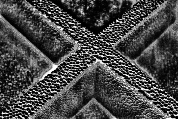 Fond Abstrait Texture Monochrome Image Incluant Effet Les Tons Noir — Photo