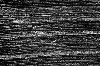 Soyut siyah-beyaz grunge arka planı. monokrom dokusu.